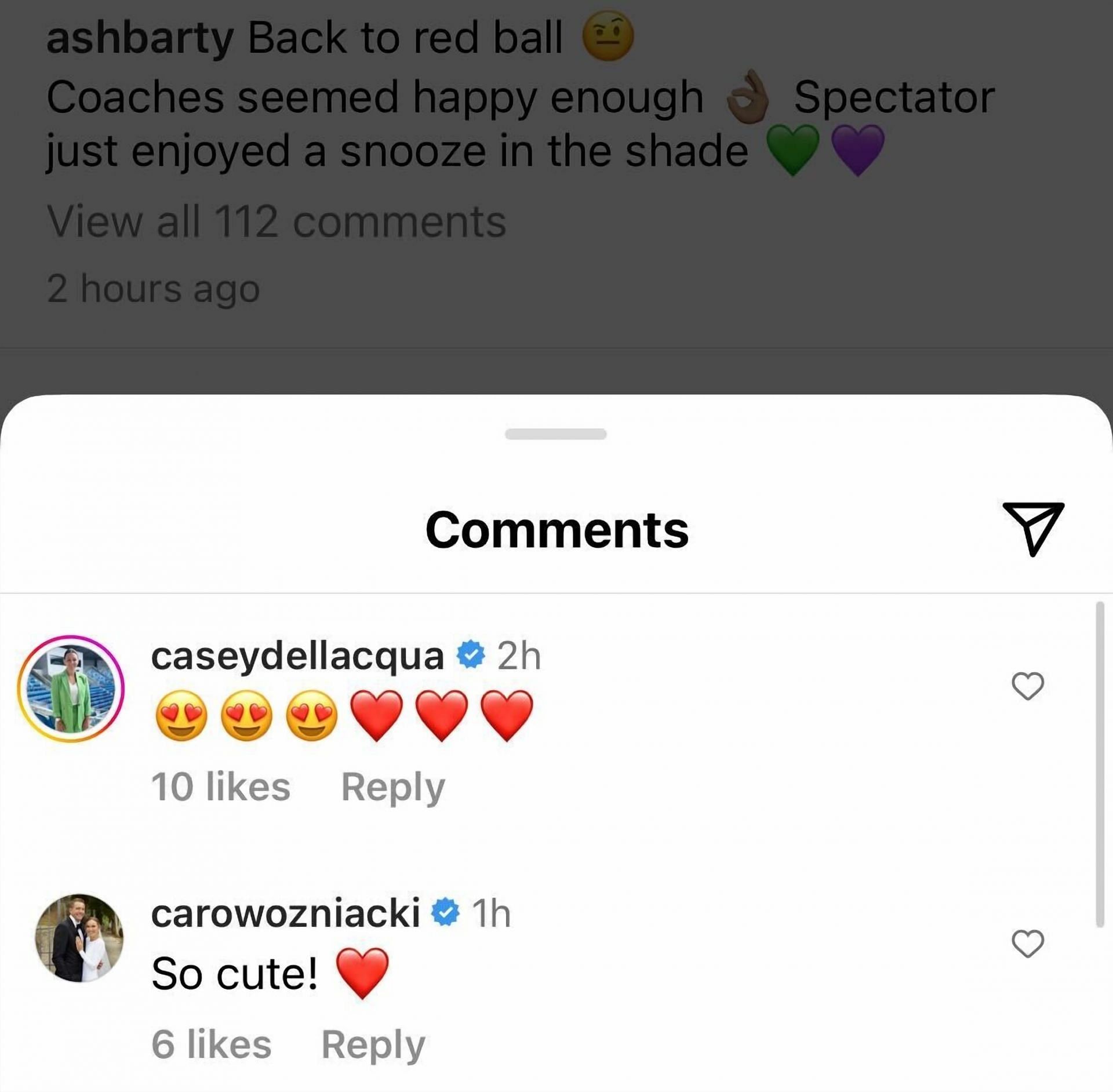 Screen grab of Caroline Wozniacki's comment